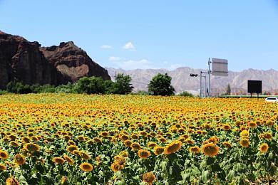 《电锯甜心RePOP》发售预告 Steam国区首发294元